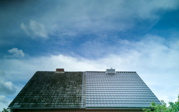 Is It Necessary to Clean Your Roof And if So, How