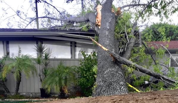 Roof Storm Damage Checklist