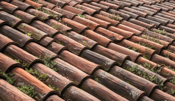 Roofers In Brandon Discuss How To Properly Clean Your Roof