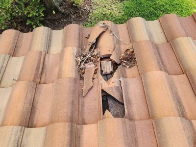 Roof Damage Repair