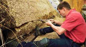 Should You Get a Thatched Roof?