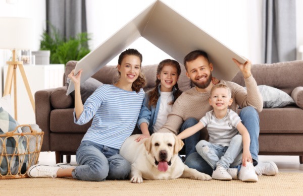 Home Improvement Services